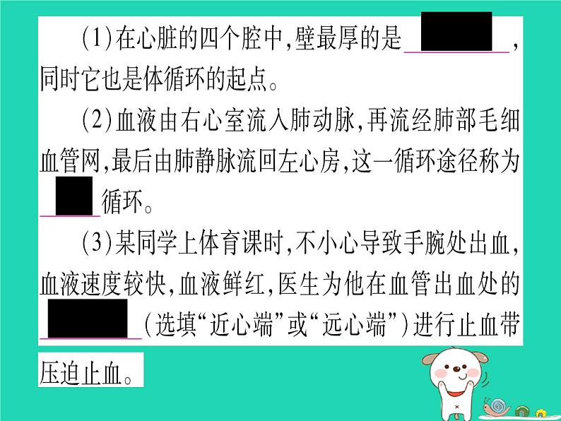 初中生物中考复习 中考生物总复习第二篇知能综合突破专题3生物圈中的人课件05