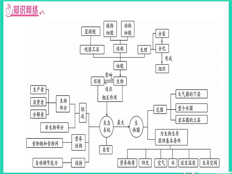 初中生物中考复习 中考生物总复习第二篇知能综合突破专题1细胞生物生物圈课件02
