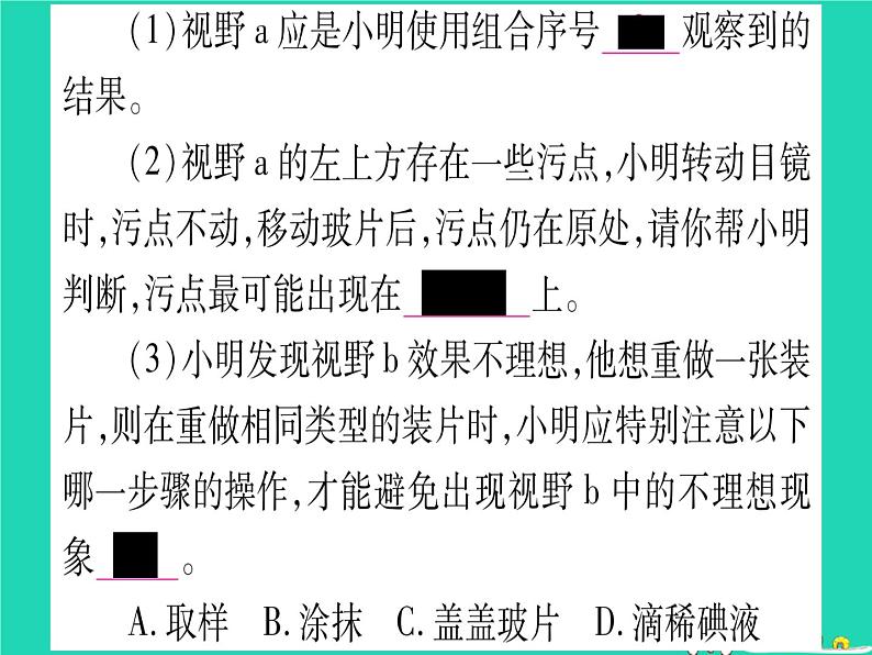 初中生物中考复习 中考生物总复习第二篇知能综合突破专题1细胞生物生物圈课件05