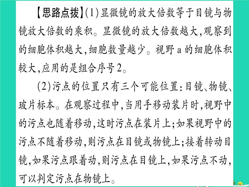 初中生物中考复习 中考生物总复习第二篇知能综合突破专题1细胞生物生物圈课件06