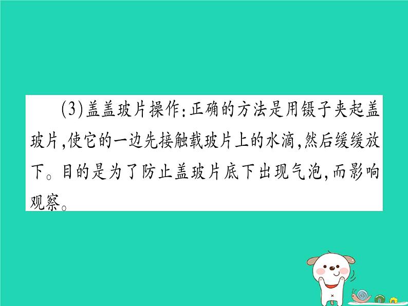 初中生物中考复习 中考生物总复习第二篇知能综合突破专题1细胞生物生物圈课件07