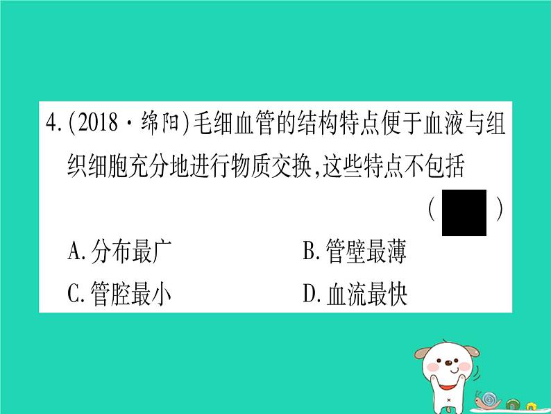 初中生物中考复习 中考生物总复习七下第4单元第9章人体内的物质运输习题课件05