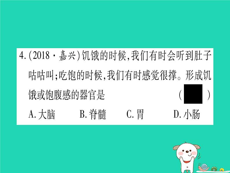 初中生物中考复习 中考生物总复习七下第4单元第8章人体的营养习题课件05