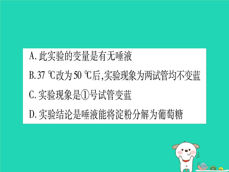 初中生物中考复习 中考生物总复习七下第4单元第8章人体的营养习题课件08