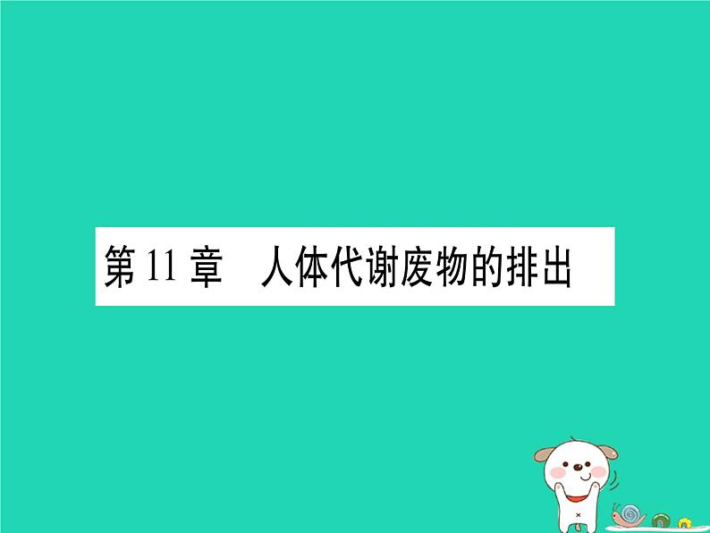 初中生物中考复习 中考生物总复习七下第4单元第11章人体代谢废物的排出习题课件第1页