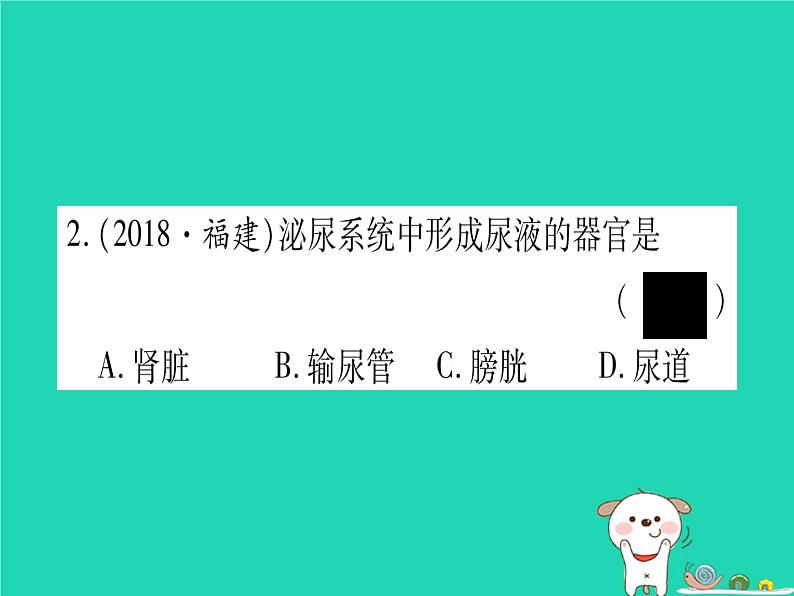 初中生物中考复习 中考生物总复习七下第4单元第11章人体代谢废物的排出习题课件第3页