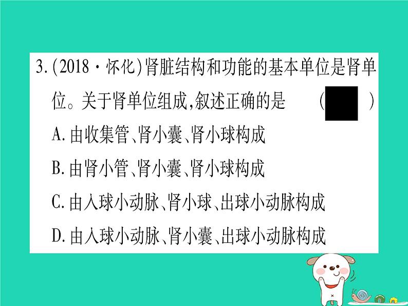 初中生物中考复习 中考生物总复习七下第4单元第11章人体代谢废物的排出习题课件第4页