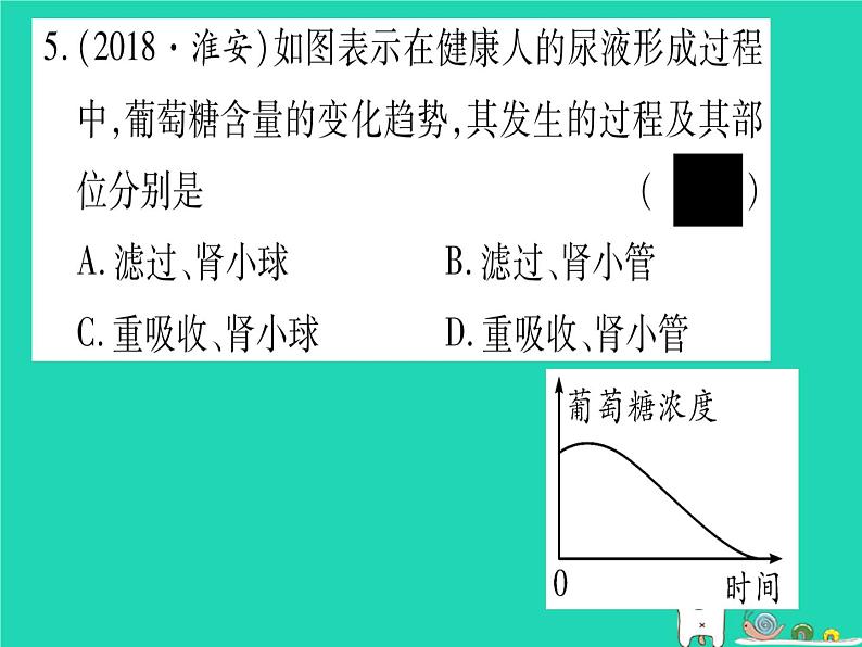 初中生物中考复习 中考生物总复习七下第4单元第11章人体代谢废物的排出习题课件第6页