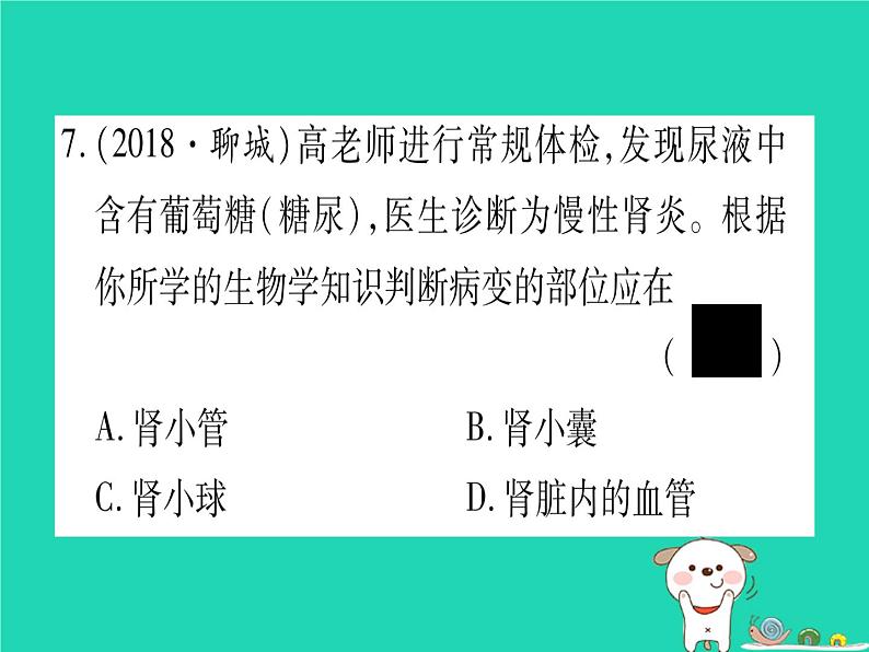 初中生物中考复习 中考生物总复习七下第4单元第11章人体代谢废物的排出习题课件第8页