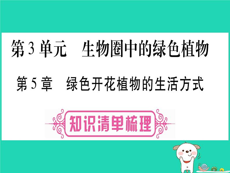 初中生物中考复习 中考生物总复习七上第3单元第5章绿色开花植物的生活方式课件01