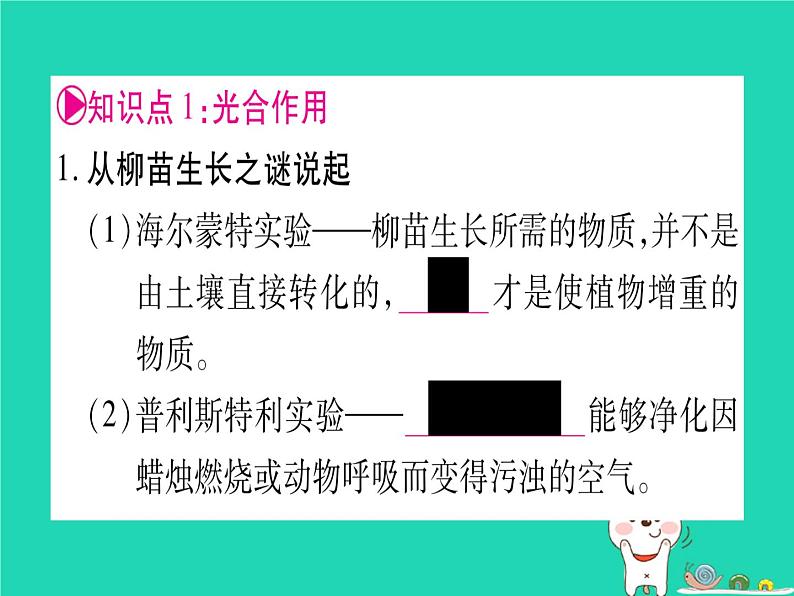 初中生物中考复习 中考生物总复习七上第3单元第5章绿色开花植物的生活方式课件02