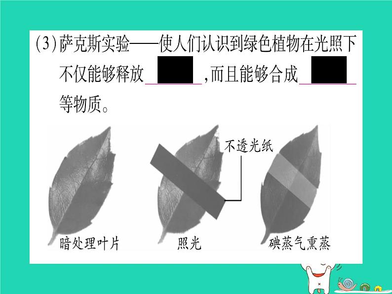 初中生物中考复习 中考生物总复习七上第3单元第5章绿色开花植物的生活方式课件04