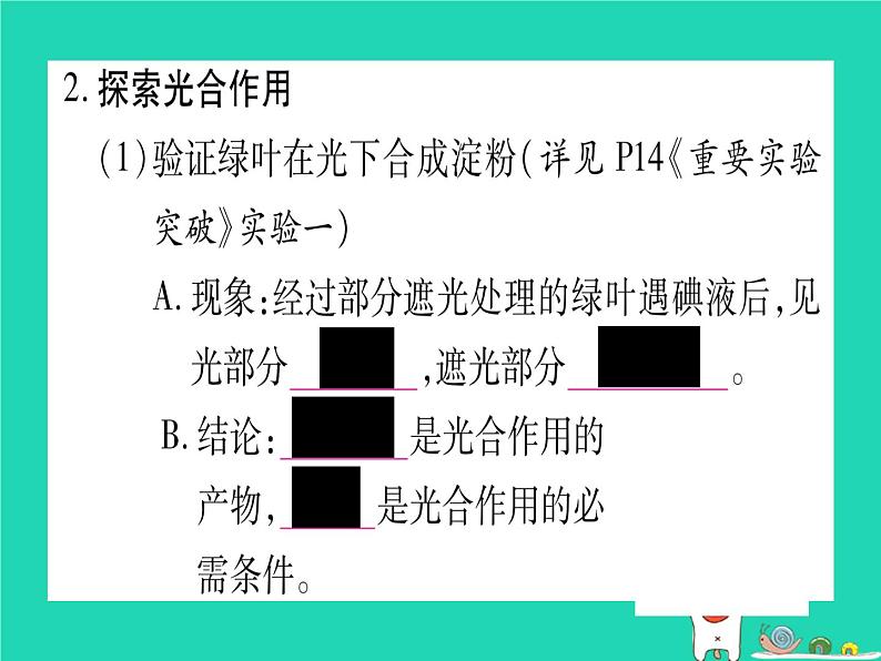 初中生物中考复习 中考生物总复习七上第3单元第5章绿色开花植物的生活方式课件05