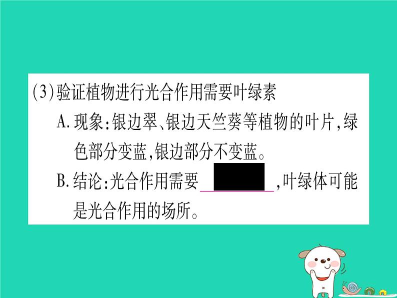 初中生物中考复习 中考生物总复习七上第3单元第5章绿色开花植物的生活方式课件07