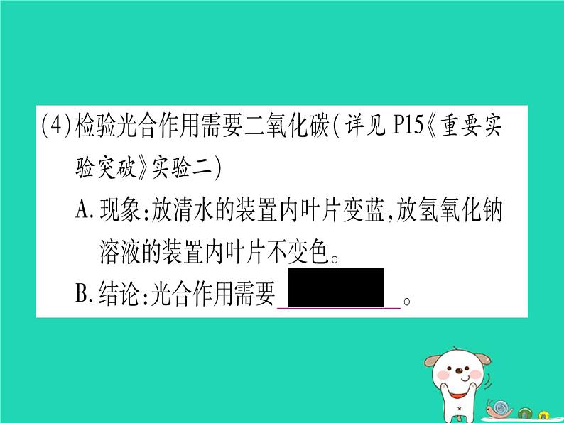 初中生物中考复习 中考生物总复习七上第3单元第5章绿色开花植物的生活方式课件08