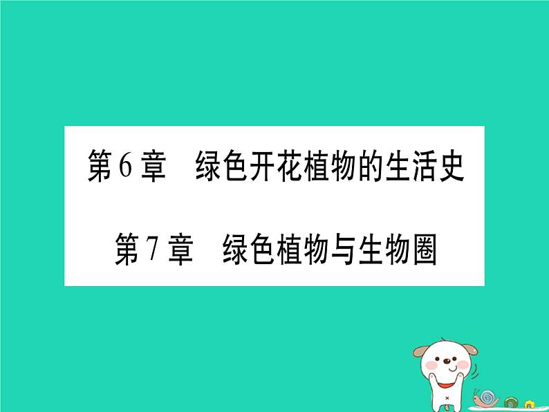 初中生物中考复习 中考生物总复习七上第3单元第6章绿色开花植物的生活史第7章绿色植物与生物圈习题课件第1页