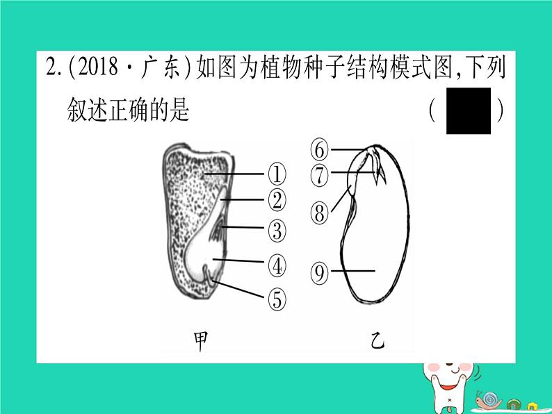 初中生物中考复习 中考生物总复习七上第3单元第6章绿色开花植物的生活史第7章绿色植物与生物圈习题课件第3页