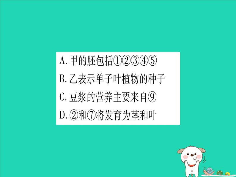 初中生物中考复习 中考生物总复习七上第3单元第6章绿色开花植物的生活史第7章绿色植物与生物圈习题课件第4页