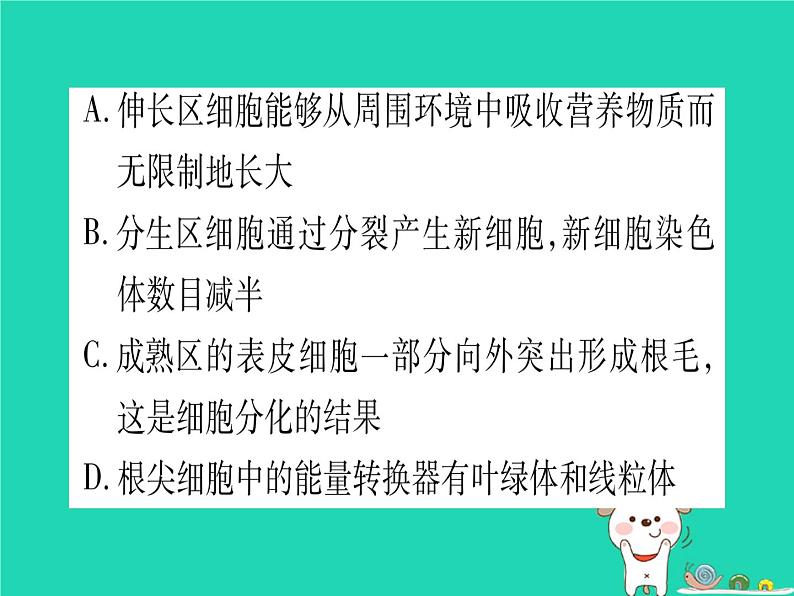 初中生物中考复习 中考生物总复习七上第3单元第6章绿色开花植物的生活史第7章绿色植物与生物圈习题课件第7页