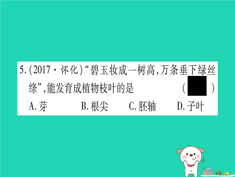 初中生物中考复习 中考生物总复习七上第3单元第6章绿色开花植物的生活史第7章绿色植物与生物圈习题课件第8页