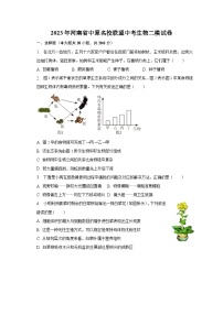 2023年河南省中原名校联盟中考生物二模试卷（含解析）