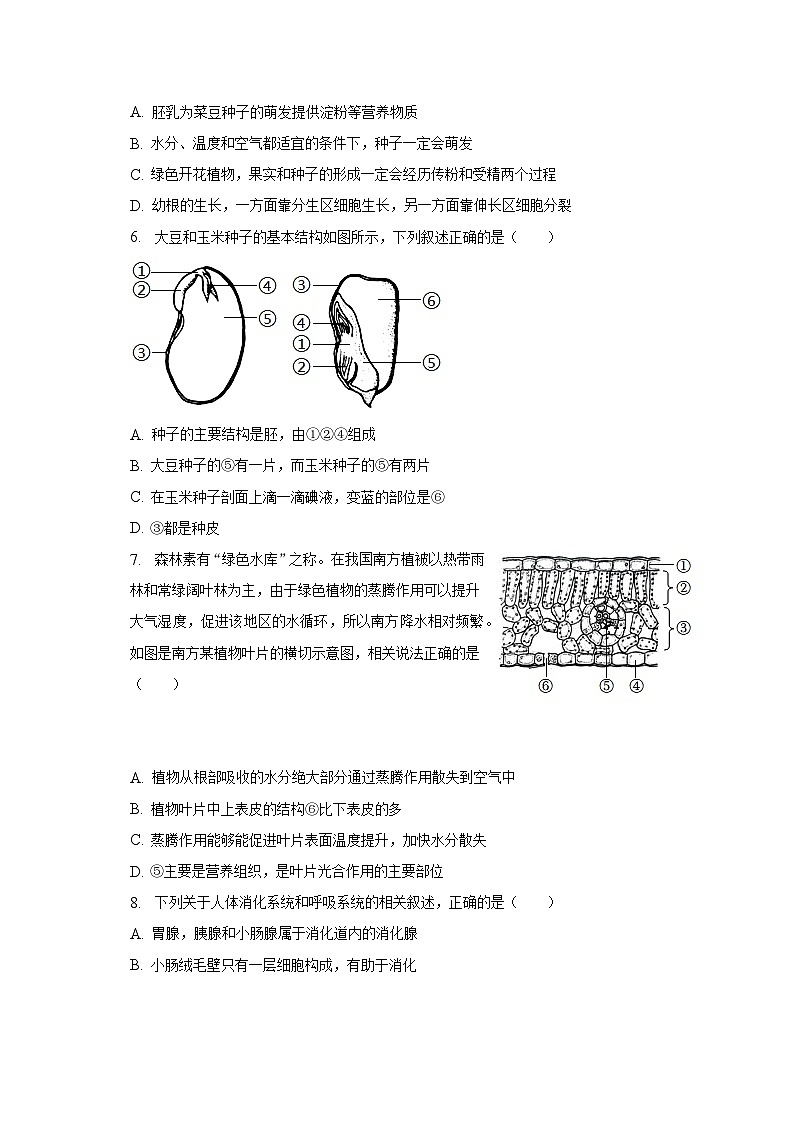 2023年山东省临沂市费县中考生物一模试卷（含解析）02