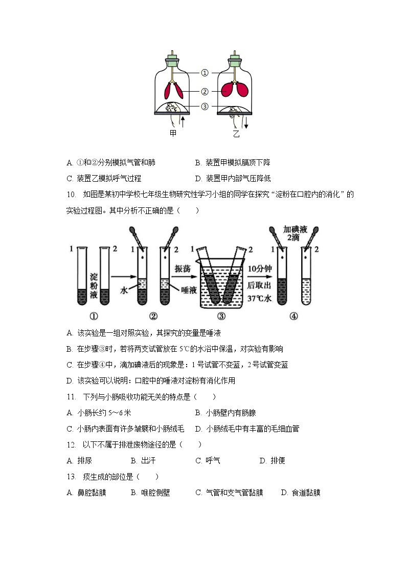 2022-2023学年吉林省长春市榆树市八号镇中学七年级（下）期中生物试卷（含解析）02