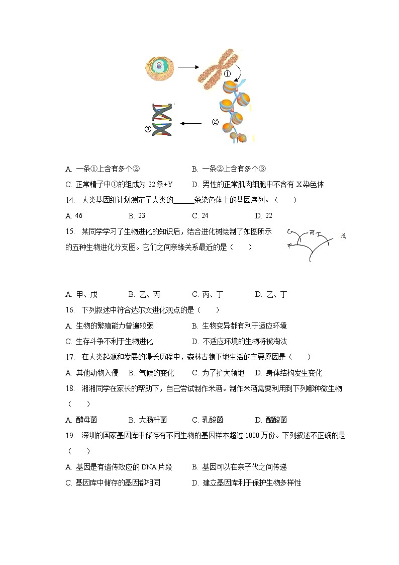 2022-2023学年山东省德州市乐陵市八年级（上）期末生物试卷（含解析）03