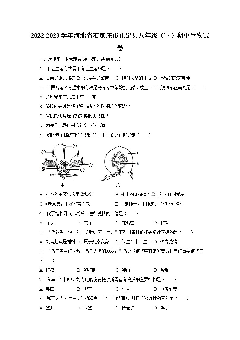 2022-2023学年河北省石家庄市正定县八年级（下）期中生物试卷（含解析）01