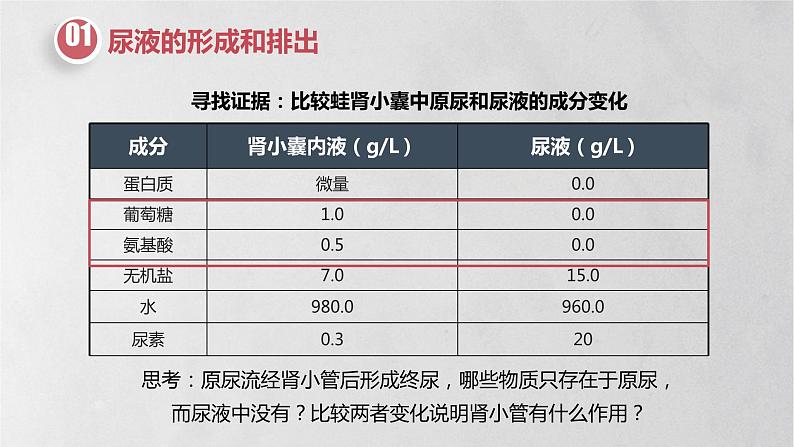 11.2 人体废物的排出-七年级生物下册同步精品课堂（苏教版）课件PPT08