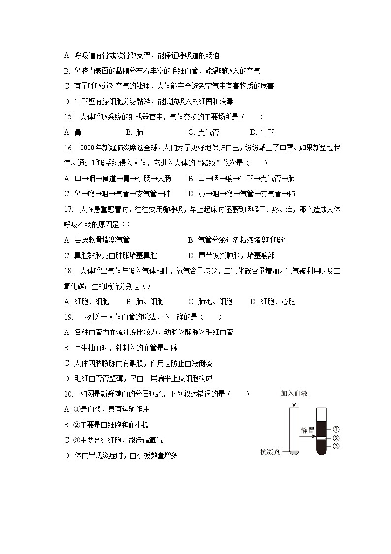2022-2023学年河北省石家庄市晋州市七年级（下）期中生物试卷（含解析）第3页