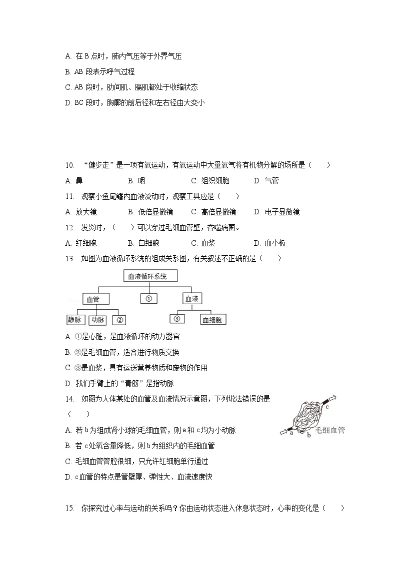 2022-2023学年山东省枣庄市峄城区七年级（下）期中生物试卷（含解析）02