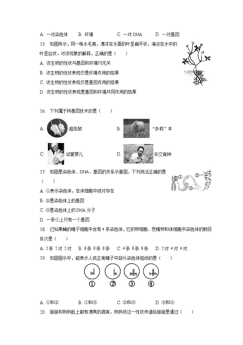 2022-2023学年陕西省西安市长安区八年级（下）期中生物试卷（含解析）03