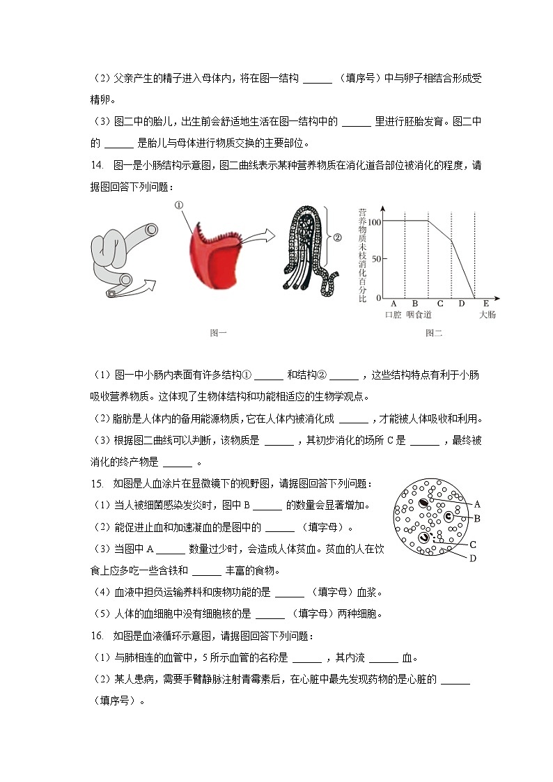 2022-2023学年辽宁省沈阳市沈北新区七年级（下）期中生物试卷（含解析）第3页