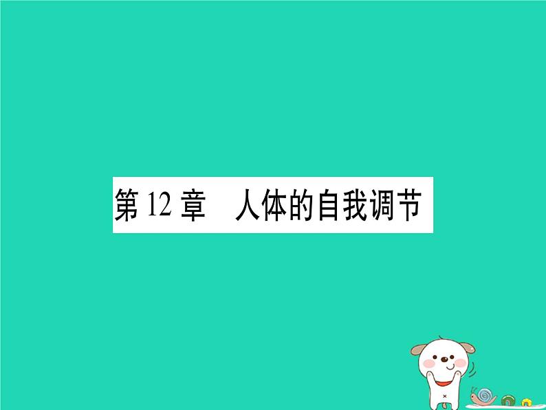 初中生物中考复习 中考生物总复习七下第4单元第12章人体的自我调节习题课件第1页