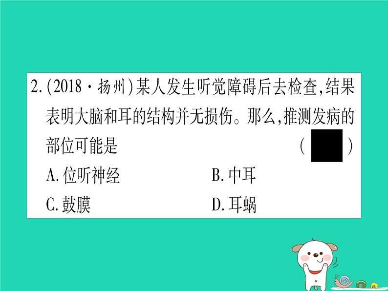 初中生物中考复习 中考生物总复习七下第4单元第12章人体的自我调节习题课件第3页