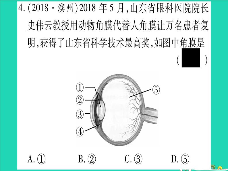 初中生物中考复习 中考生物总复习七下第4单元第12章人体的自我调节习题课件第5页