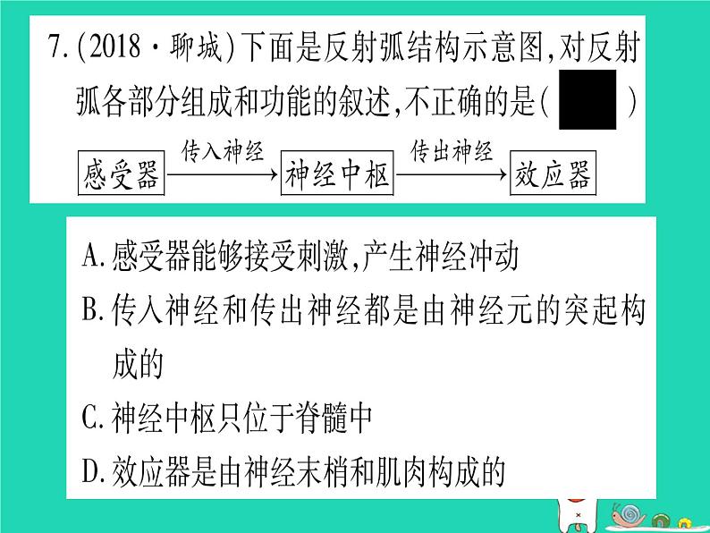 初中生物中考复习 中考生物总复习七下第4单元第12章人体的自我调节习题课件第8页