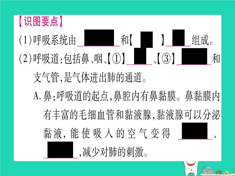 初中生物中考复习 中考生物总复习七下第4单元第10章人体的能量供应课件第5页