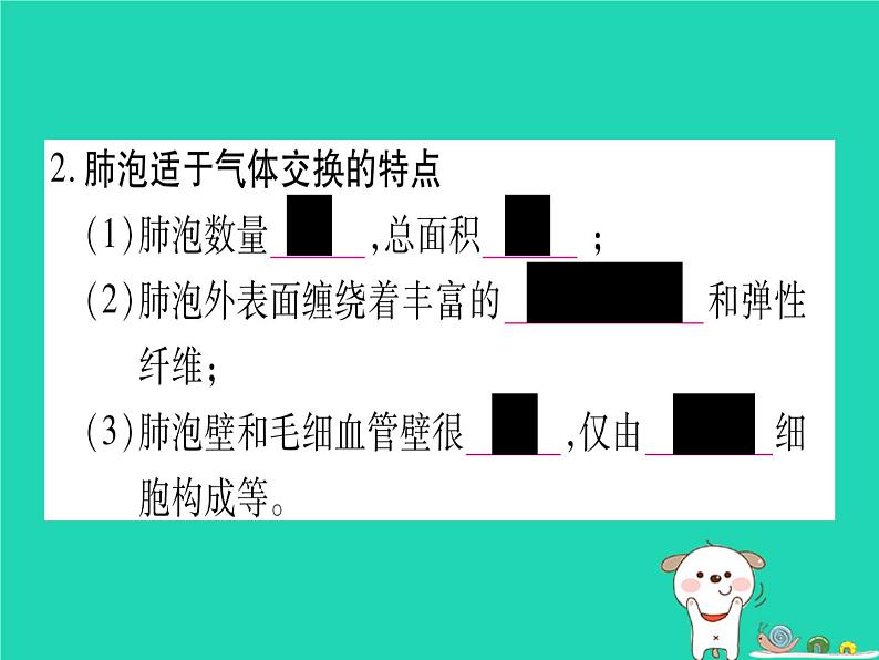 初中生物中考复习 中考生物总复习七下第4单元第10章人体的能量供应课件第8页