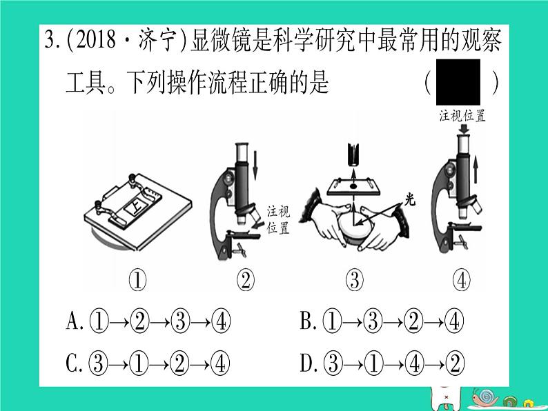 初中生物中考复习 中考生物总复习七上第2单元第3章细胞习题课件04