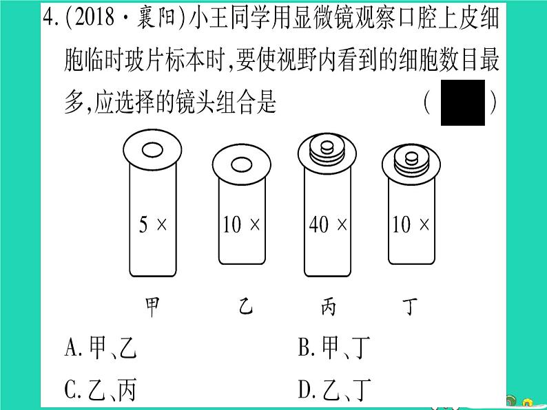 初中生物中考复习 中考生物总复习七上第2单元第3章细胞习题课件05