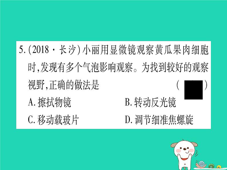 初中生物中考复习 中考生物总复习七上第2单元第3章细胞习题课件06