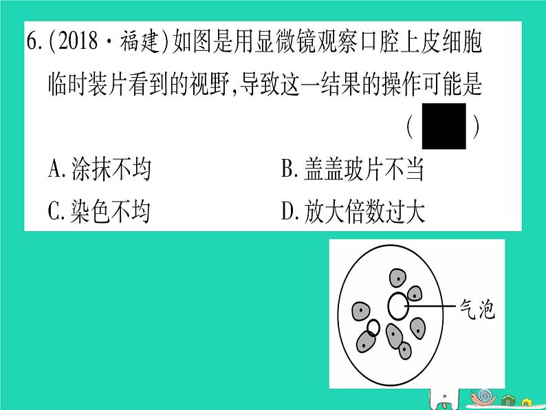 初中生物中考复习 中考生物总复习七上第2单元第3章细胞习题课件07