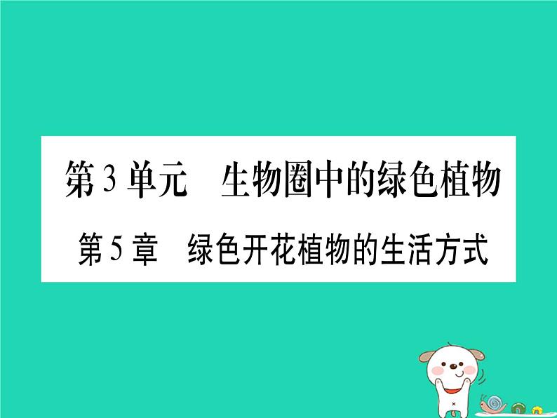 初中生物中考复习 中考生物总复习七上第3单元第5章绿色开花植物的生活方式习题课件01