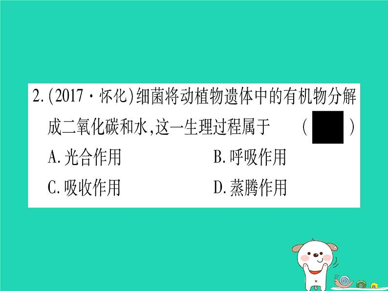 初中生物中考复习 中考生物总复习七上第3单元第5章绿色开花植物的生活方式习题课件03