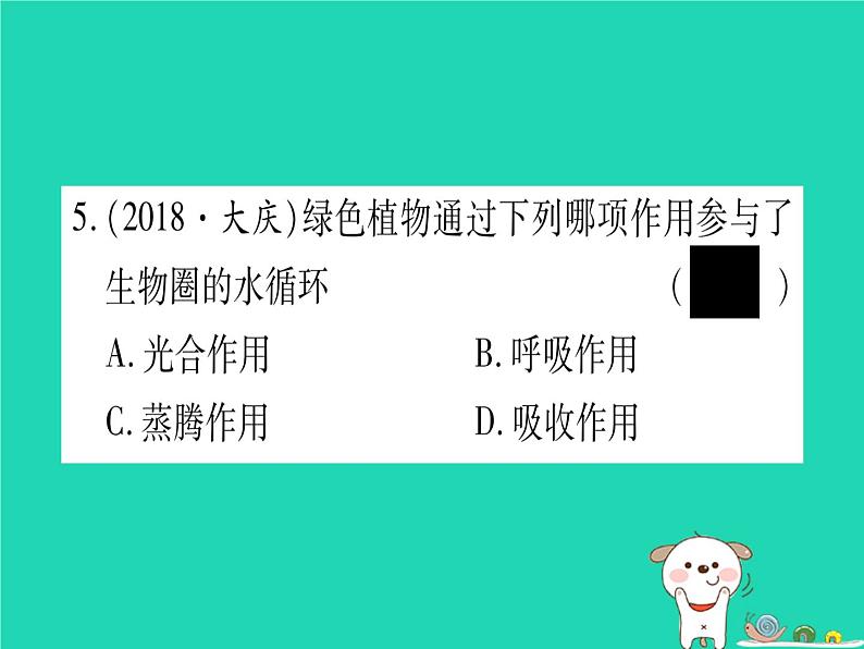 初中生物中考复习 中考生物总复习七上第3单元第5章绿色开花植物的生活方式习题课件06