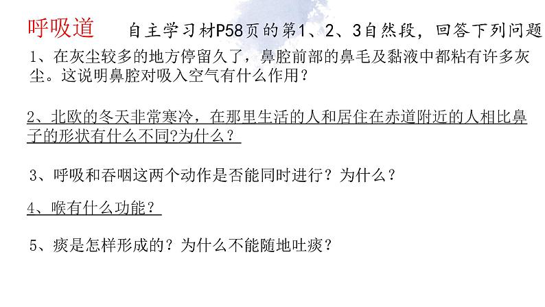 10.3 人体与外界的气体交换-七年级生物下册同步（苏教版）课件PPT第8页