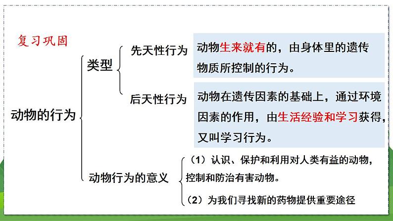 18.1 绿色植物与生物圈中的水循环（第1课时）（八年级生物上苏科版教学课件）02