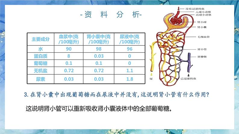 4.5 人体内废物的排出 （第二课时）第7页